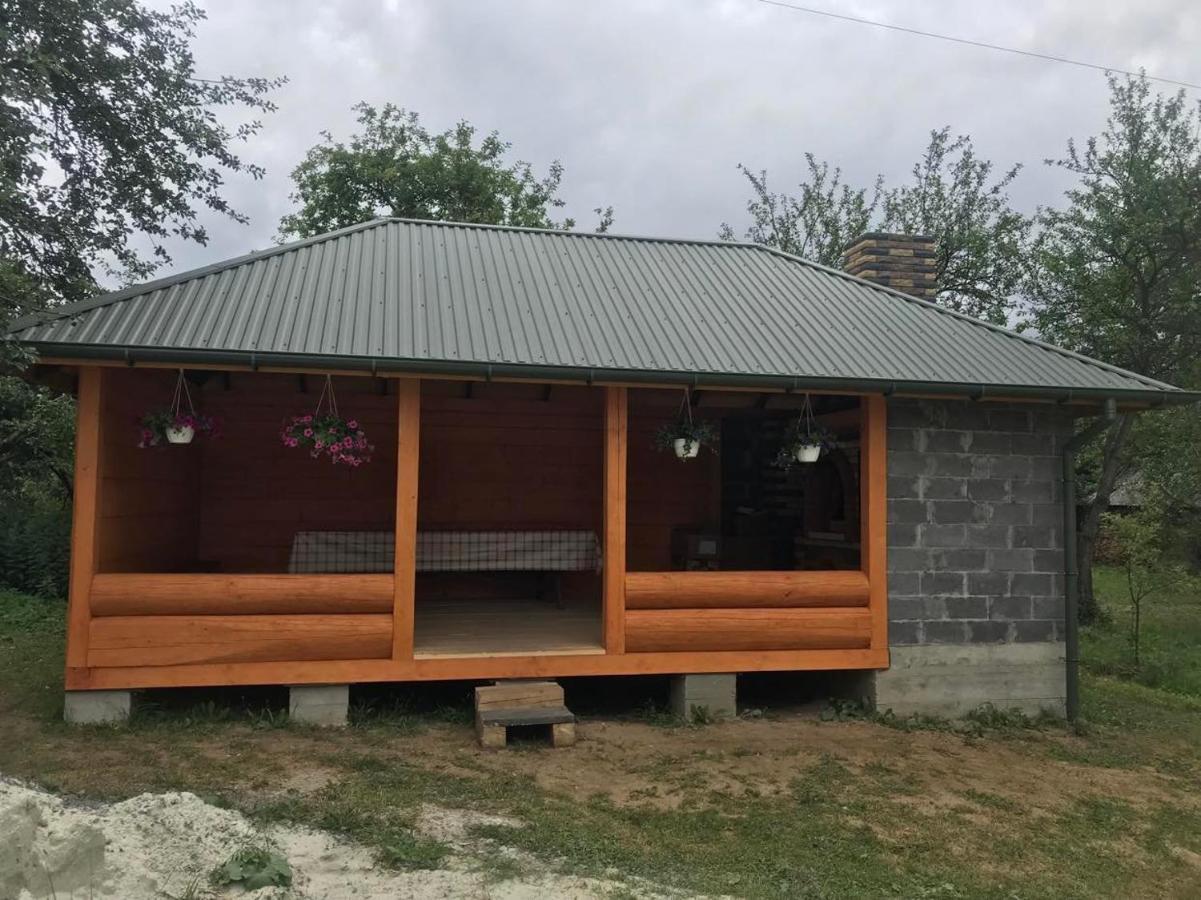 Золота Рибка Villa Slavske Buitenkant foto